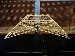 Toothpick Bridge