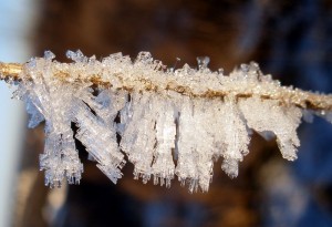 How to Make Salt Crystals