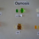 science project research ideas