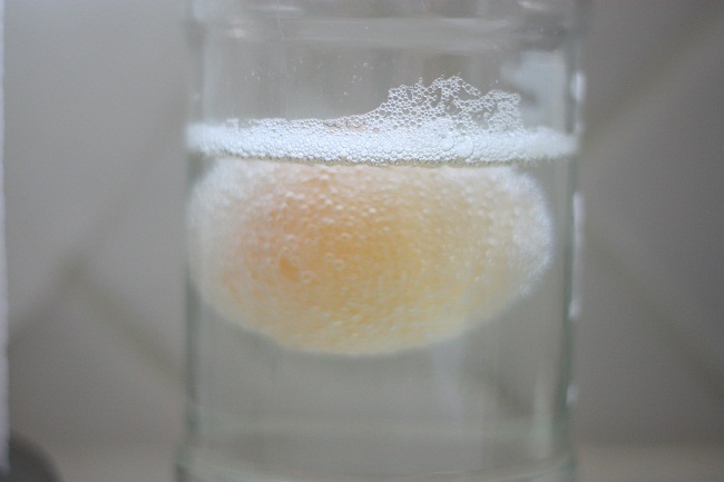Egg in Vinegar Experiment